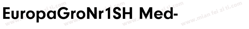 EuropaGroNr1SH Med字体转换